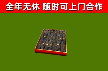 龙川烟酒回收海参.jpg